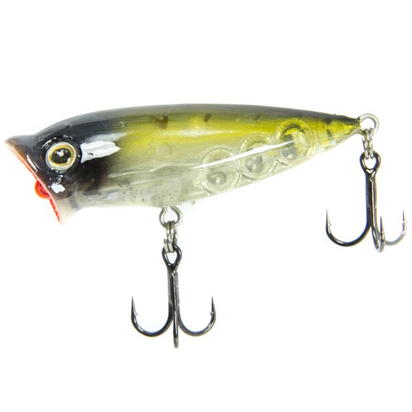 Cabo Peeping Popper Fishing Lure