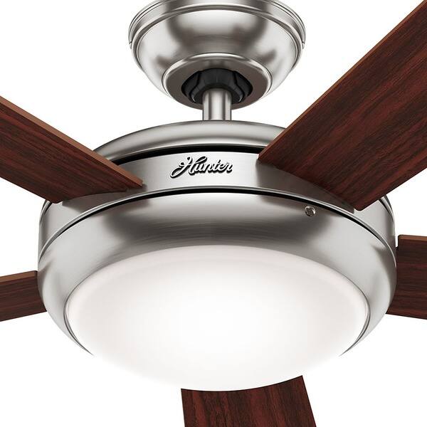 Shop Hunter Fan Palermo 52 Inch Brushed Nickel Fan With 5 Cherry