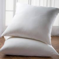 https://ak1.ostkcdn.com/images/products/11453472/Cheer-Collection-White-26-x-26-Euro-Square-Pillow-Set-of-2-4fff393a-60fd-4e17-8cf9-3613f65e83bf_320.jpg?imwidth=200&impolicy=medium
