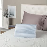 Memory Foam Simmons Beautyrest Pillows Find Great Bedding Basics Deals Shopping At Overstock