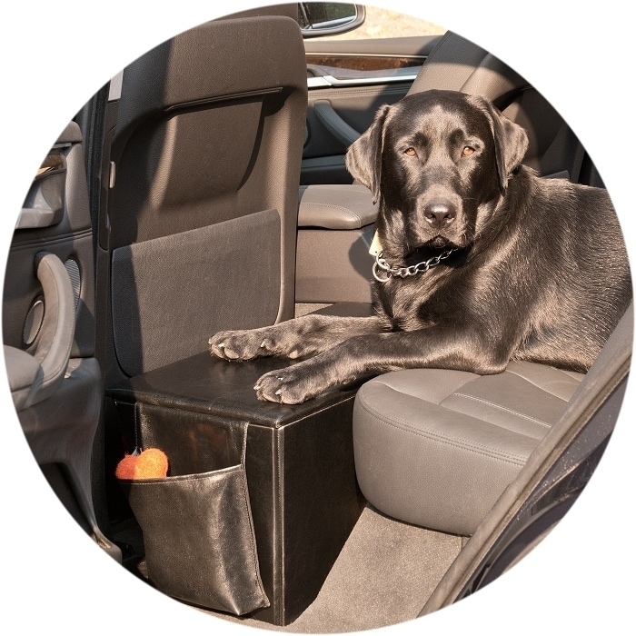 backseat extender for pets