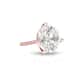 Option Rose