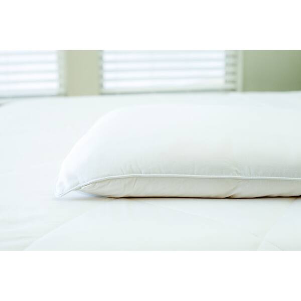 Shop Cozy Earth Premium Viscose From Bamboo Silk Filled Pillow