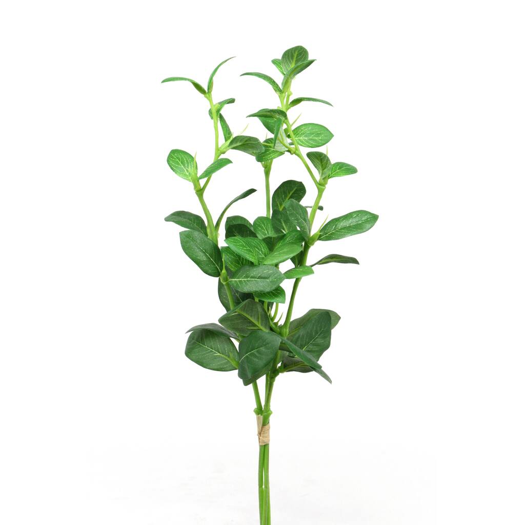 14-inch Vine Cutting Bundle (Pack of 6)