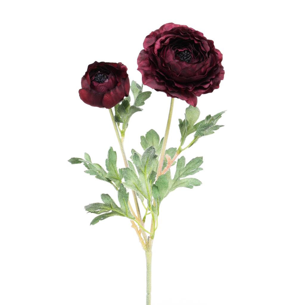 Deep Indigo Ranunculus Deep Red 24-inch 2-flower Ranunculus Stem (Pack of 6) - Overstock ...