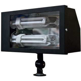 black flood light