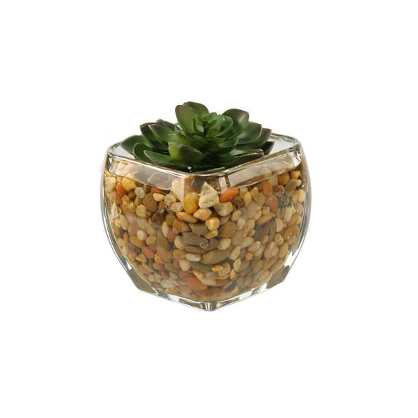 Shop Small Glass Cube Floral Arrangement On Sale Free Shipping On