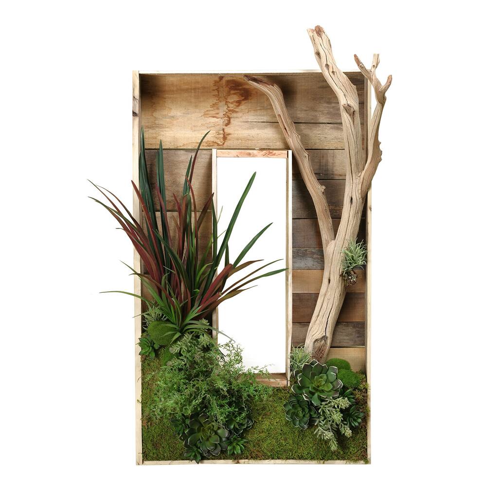 Rectangle Wooden Shadow Box with Ghostwood/ Dracaena and Succulents - Mixed