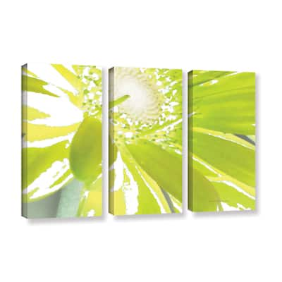 ArtWall Herb Dickinson's 'Gerber Time IV' 3-piece Gallery Wrapped Canvas Set - Multi