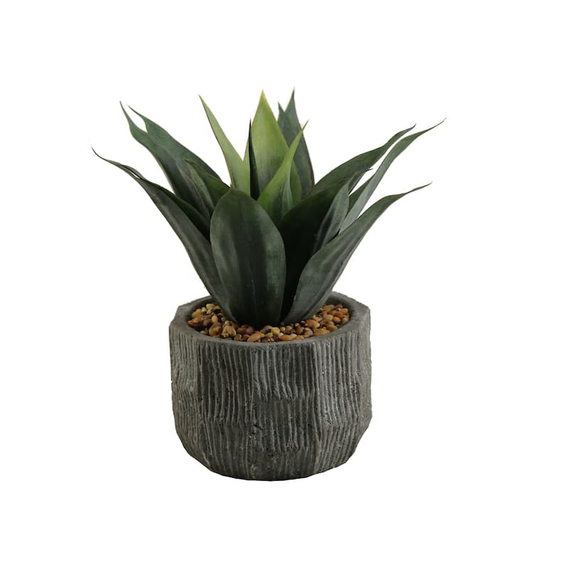 Red/ Green Agave Plant in Ceramic Planter