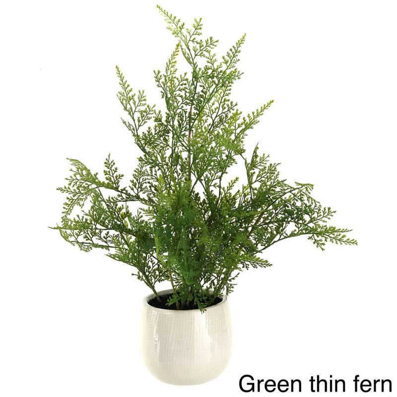 D&W Silks Fern in Ceramic Planter