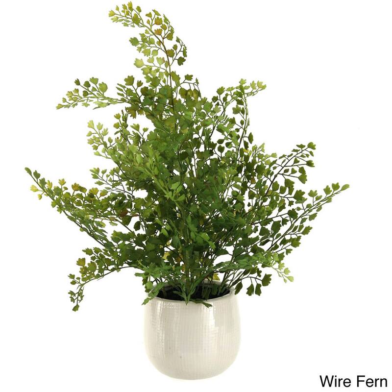 D&W Silks Fern in Ceramic Planter - Wire Fern