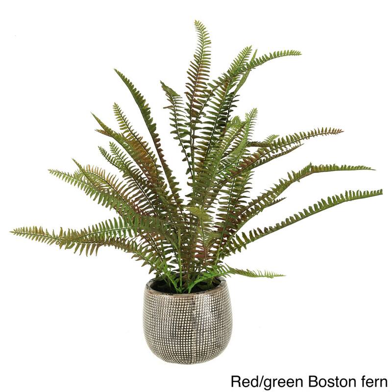 D&W Silks Fern in Ceramic Planter