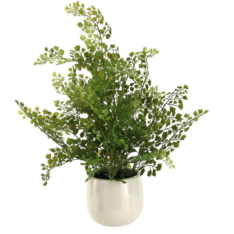 D&W Silks Fern in Ceramic Planter
