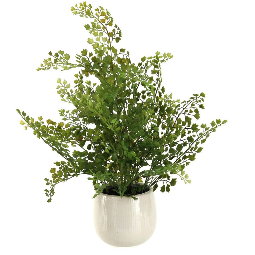 D&W Silks Fern in Ceramic Planter