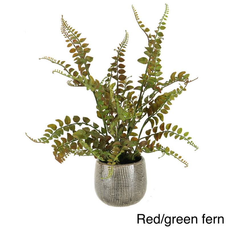 D&W Silks Fern in Ceramic Planter