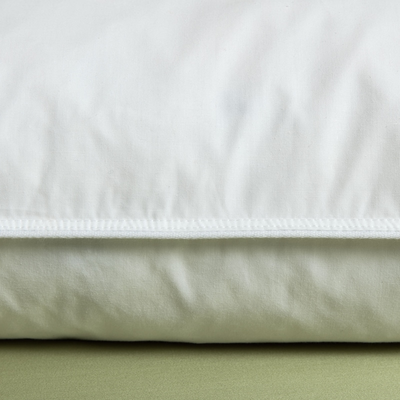 St. James Home White Goose Feather Pillow (Set of 2)