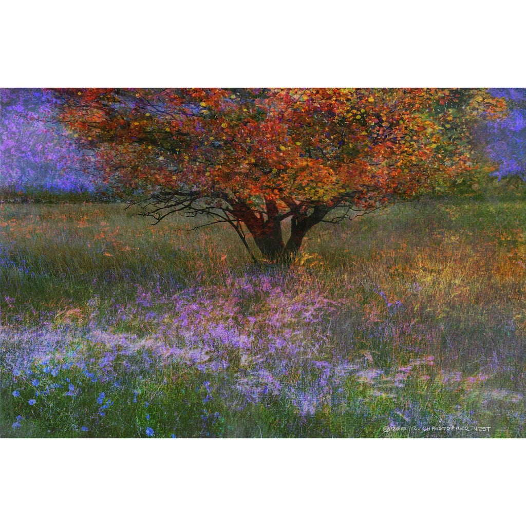 Marmont Hill 'Lone Tree Flowered Meadow' by Chris Vest Painting Print on Canvas - Multi-Color