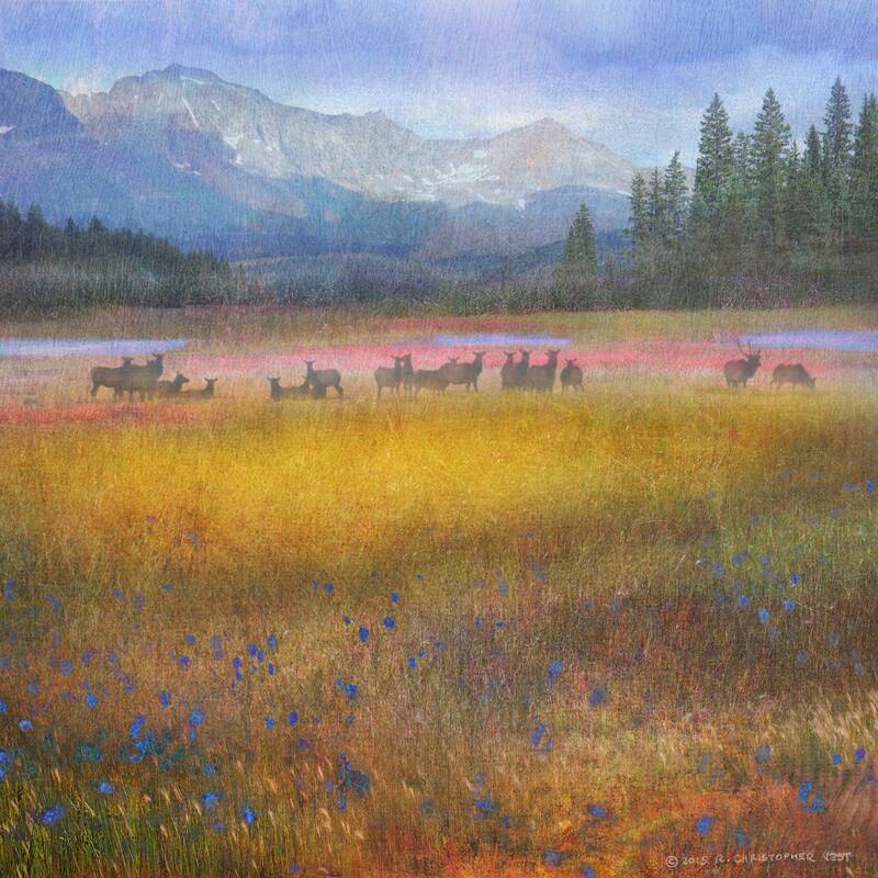 Marmont Hill 'Flowered Meadow Elk' by Chris Vest Painting Print on Canvas - Multi-Color