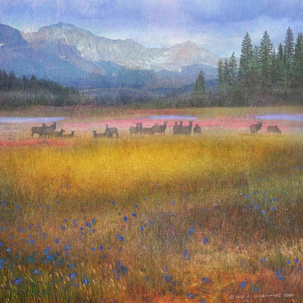 Marmont Hill 'Flowered Meadow Elk' by Chris Vest Painting Print on Canvas - Multi-Color