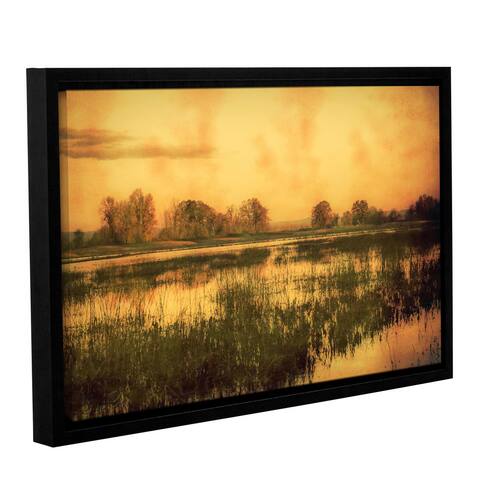 ArtWall Don Schwartz's 'Wetlands' Gallery Wrapped Floater-framed Canvas