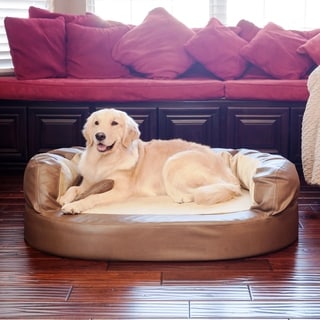 integrity orthopedic memory foam joint relief bolster dog bed (med integrity orthopedic memory foam joint relief bolster dog bed (med