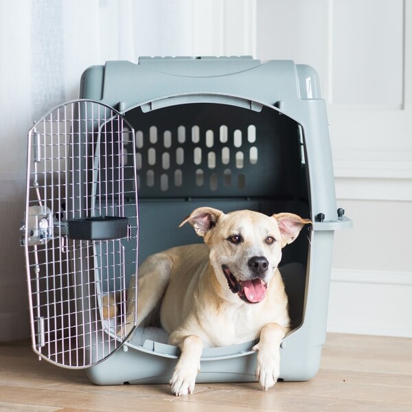 vari sky kennel medium