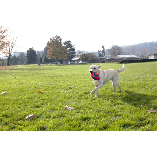 chuckit fumble fetch