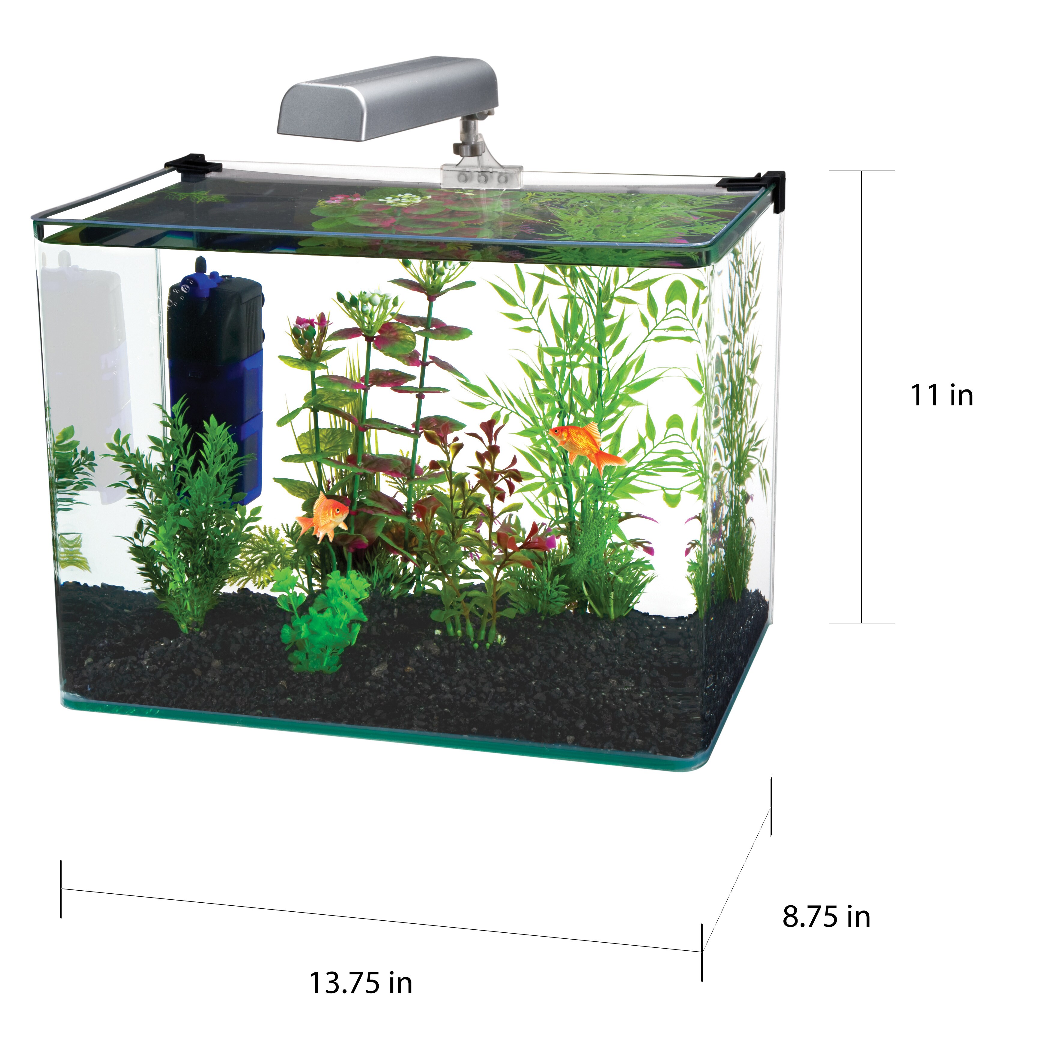 desktop aquarium