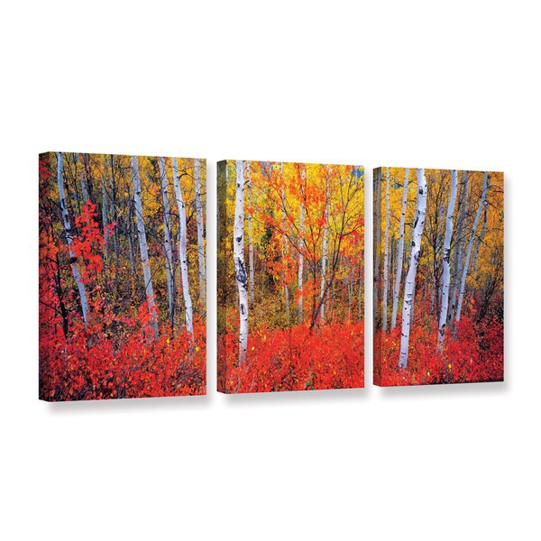 Shop Gary Crandall's 'Changing Seasons' 3 Piece Gallery Wrapped Canvas ...