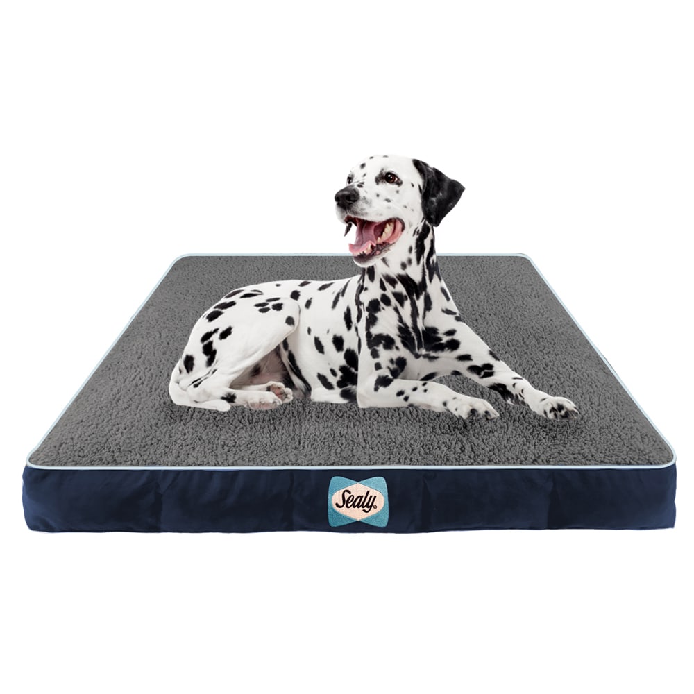 sealy posturepedic dog bed