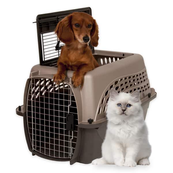 Shop Petmate 2 Door Top Load Kennel Free Shipping On Orders Over