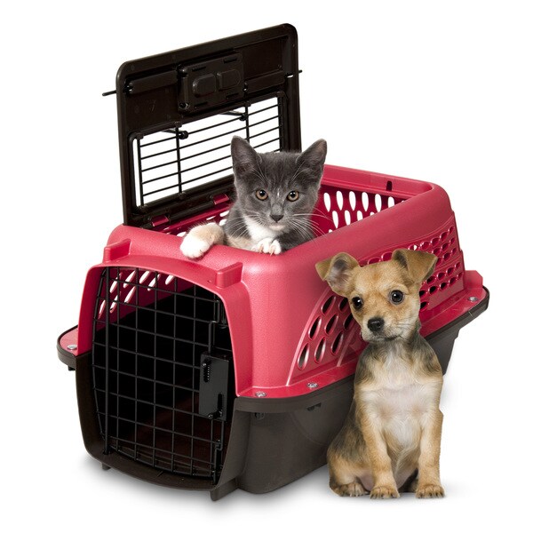 petmate two door top load dog kennel