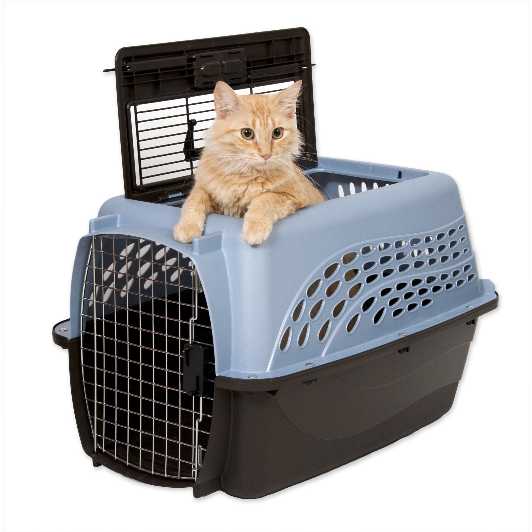 petmate two door top load kennel