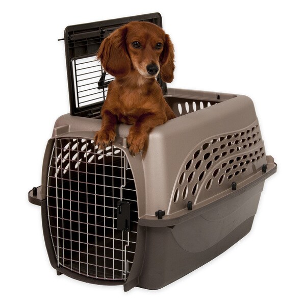 petmate two door top load dog kennel