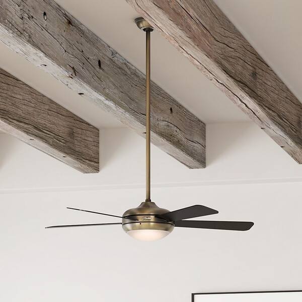 Shop Hunter Fan Palermo 52 Inch Brushed Bronze With 5 Black