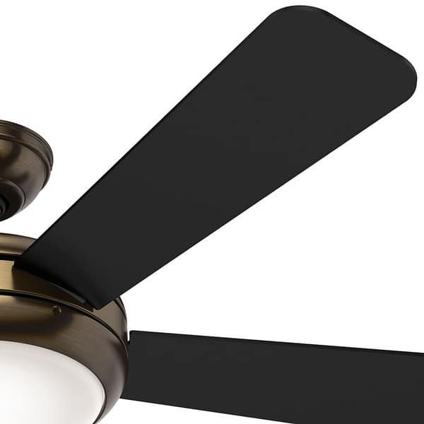 Shop Hunter Fan Palermo 52 Inch Brushed Bronze With 5 Black