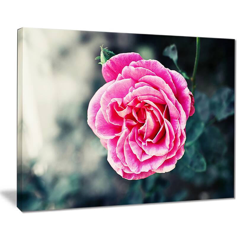Red Rose in Vintage Style" Floral Digital Art Canvas Print multi