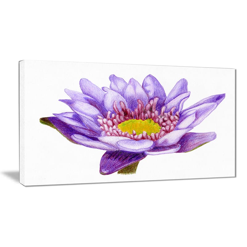 Hand'drawn Purple Lotus' Floral Art Canvas Print - Bed Bath & Beyond ...