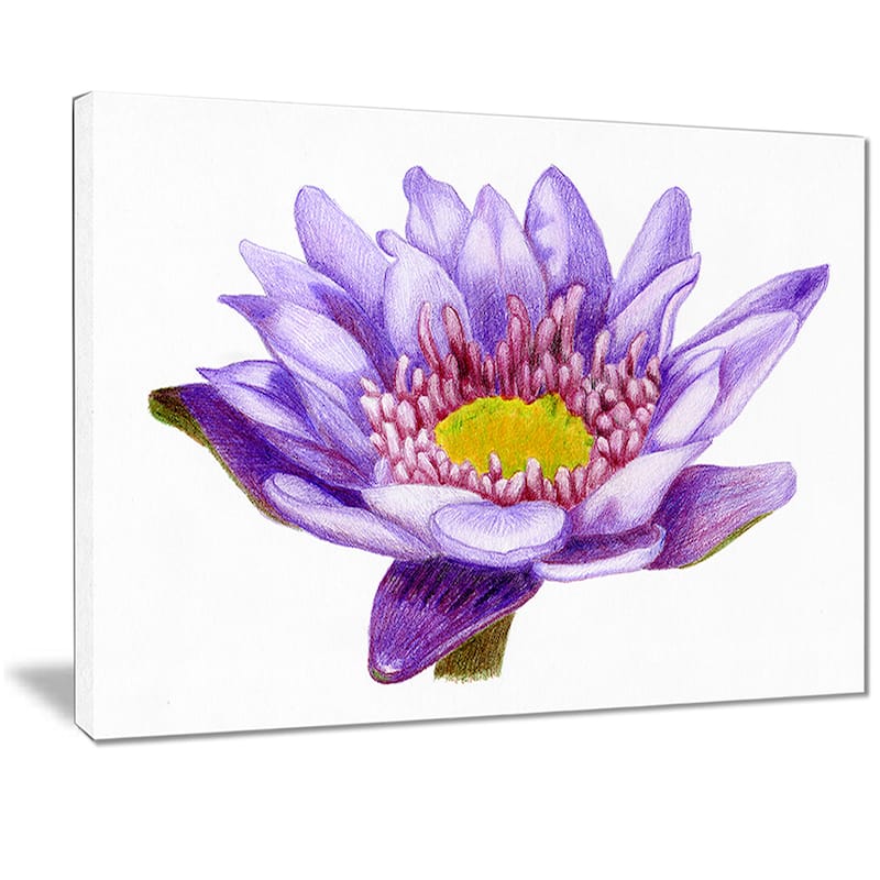 Hand'drawn Purple Lotus' Floral Art Canvas Print - Bed Bath & Beyond ...