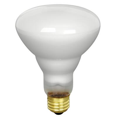 Feit Electric 65BR30/FL/XL Track & Recessed Flood Reflector Light Bulb