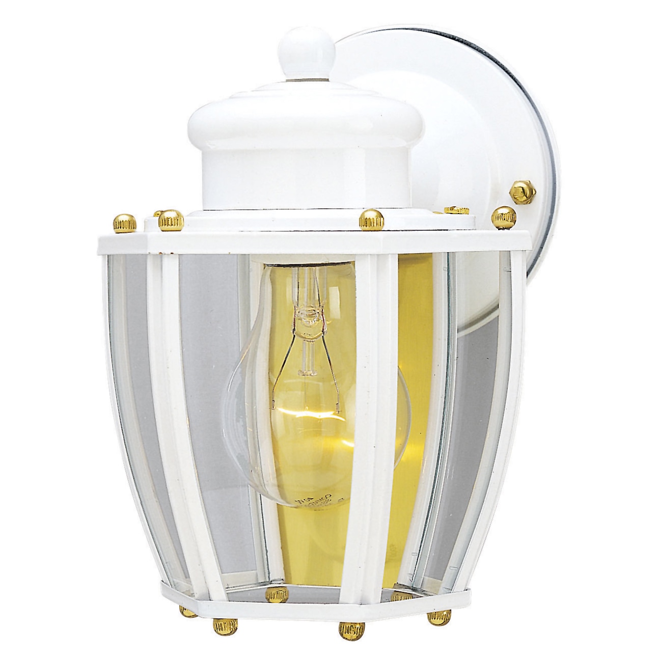 White Finish on Steel w... Westinghouse 6697100 One-Light Exterior Wall Lantern