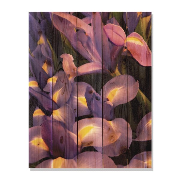 French Iris 28x36 Indoor/ Outdoor Full Color Cedar Wall Art - Overstock ...