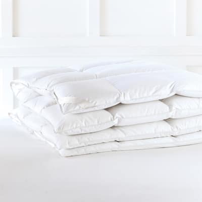 Alexander Comforts Burton Down Alternative Comforter