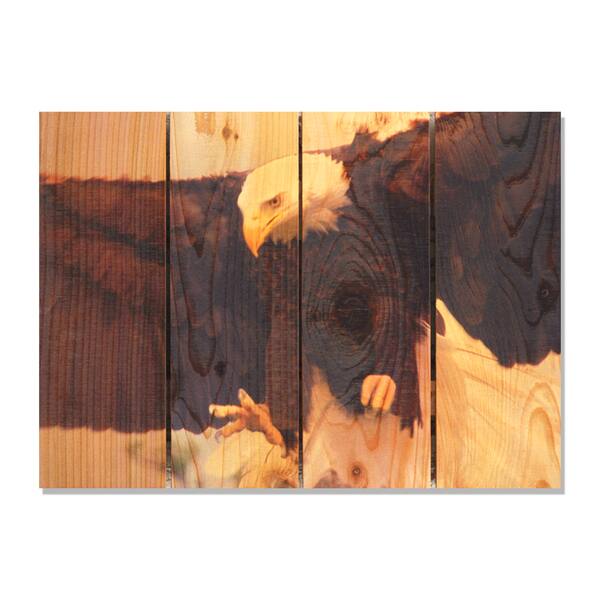 Bald Eagle 22.5x16 Indoor/ Outdoor Full Color Cedar Wall Art ...