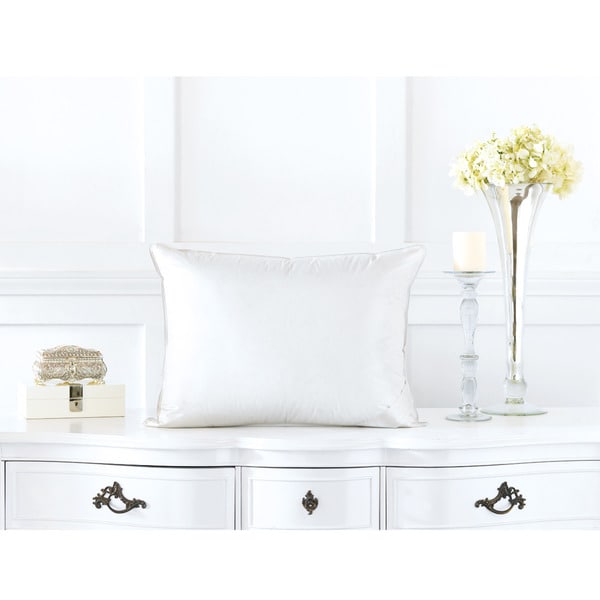 Goose feather pillows outlet bed bath and beyond