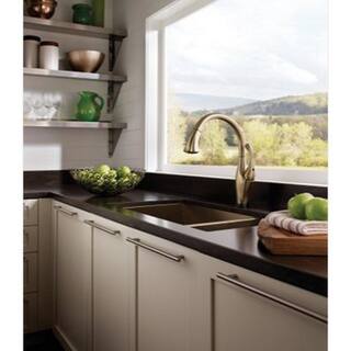 Shop Delta Addison Single Handle Pull Down Kitchen Faucet With