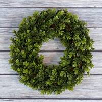 Pure Garden Boxwood Wreath 14 inch Round