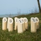 preview thumbnail 1 of 8, Wooden Throwing Game Set, 12 Numbered Pins Hey Play - 11 x 7.25 x 7