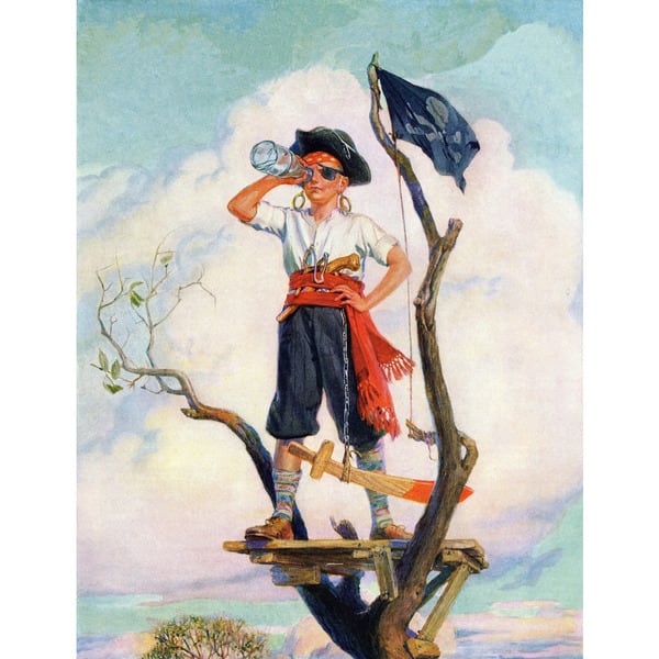 https://ak1.ostkcdn.com/images/products/11702029/Marmont-Hill-Pirate-by-Curtis-Painting-Print-on-Canvas-6c017bcb-dad6-42ee-9c8f-e4018afbd209_600.jpg?impolicy=medium